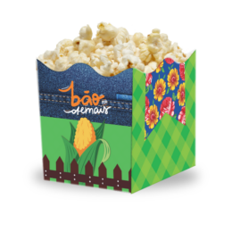 Mini Cachepot Vem pro Arraiá (6 unidades)