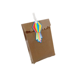 Saco Kraft com Fechamento Balão - 10 unidades - OPORTUNIDADE